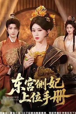 东宫侧妃上位手册海报图片