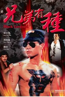 兄弟有种封面图