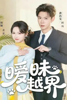 暧昧越界海报图片