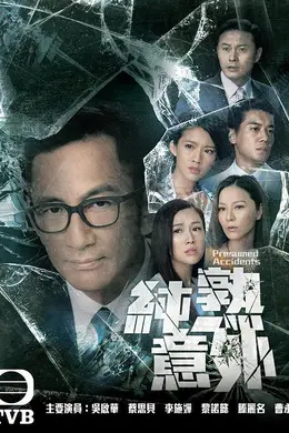 纯熟意外封面图