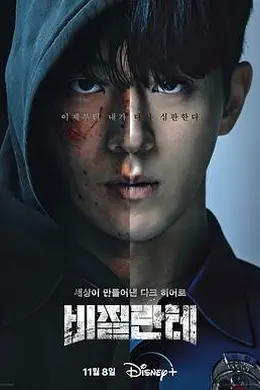 非法正义封面图