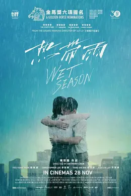 热带雨封面图