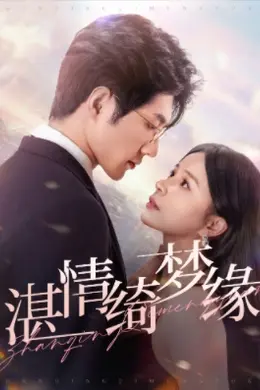 湛情琦梦缘封面图