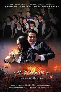 雏鸟的天空封面图