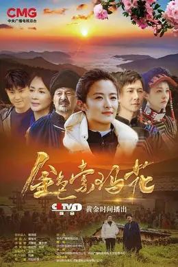 金色索玛花封面图