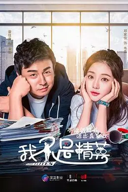 我不是精英封面图