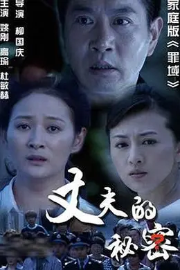 丈夫的秘密2012封面图