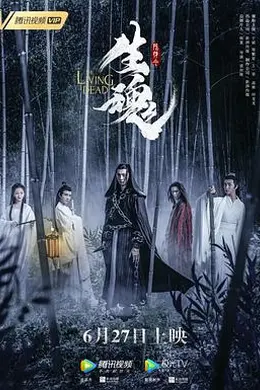 陈情令之生魂封面图