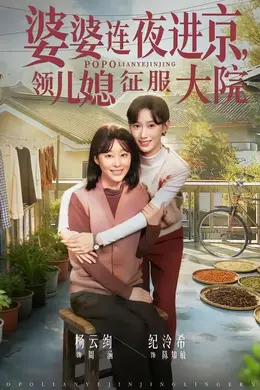 婆婆连夜进京，领儿媳征服大院封面图