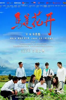 马莲花开封面图