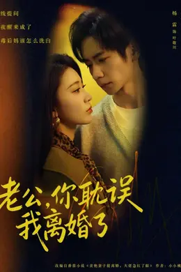 老公，你耽误我离婚了封面图