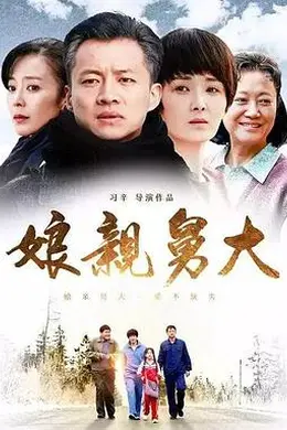 娘亲舅大封面图