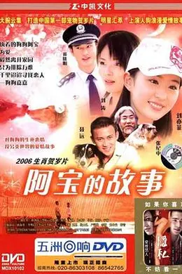 阿宝的故事封面图