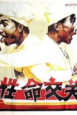 性命交关封面图