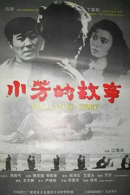 小芳的故事封面图