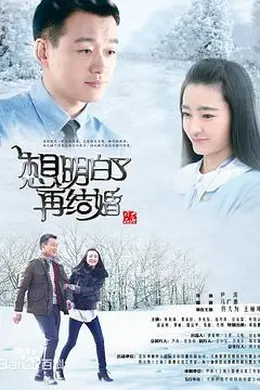 想明白了再结婚封面图