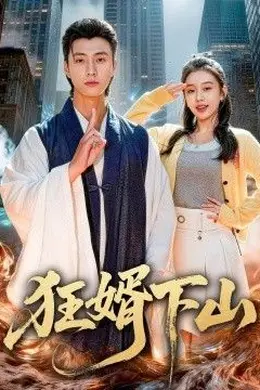 狂婿下山封面图