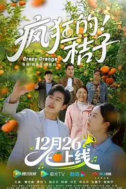 疯狂的桔子封面图