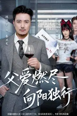 父爱燃尽，向阳独行封面图