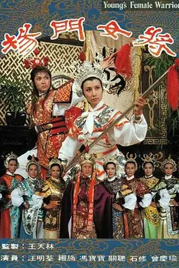 杨门女将封面图