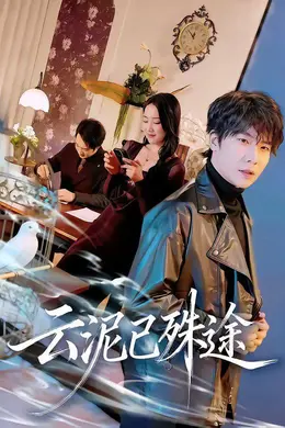 云泥已殊途封面图