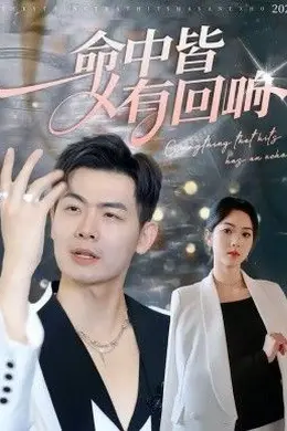 命中皆有回响封面图