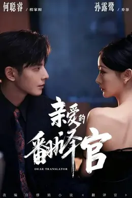 亲爱的翻译官（2026）封面图
