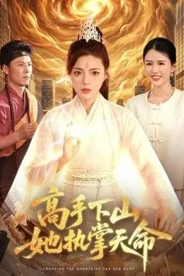 高手下山，她执掌天命海报图片