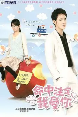 命中注定我爱你封面图