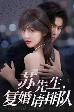 苏先生，复婚请排队海报图片