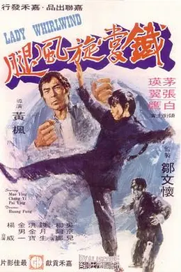铁掌旋风腿海报图片