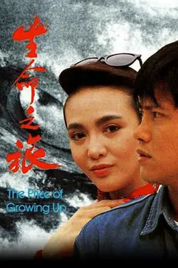 生命之旅国语封面图