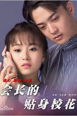 会长的贴身校花封面图