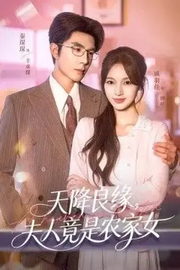 天降良缘，夫人竟是农家女封面图
