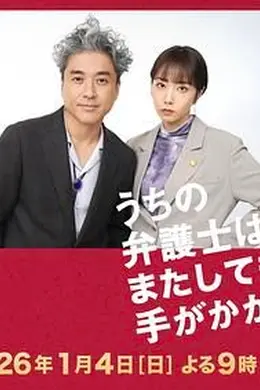 我家的律师又惹麻烦了特别篇封面图