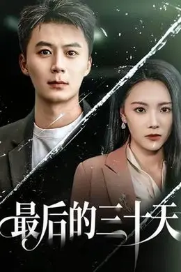 最后的三十天封面图