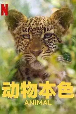 动物本色 第二季封面图