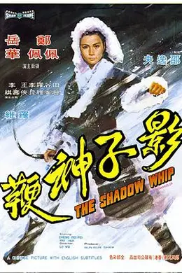影子神鞭封面图