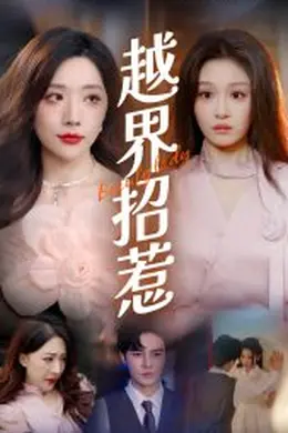 越界招惹海报图片