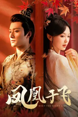 凤凰于飞海报图片