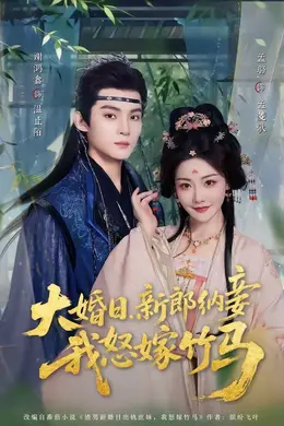 大婚日，新郎纳妾我怒嫁竹马海报图片