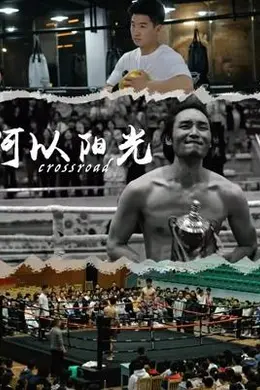 何以阳光封面图