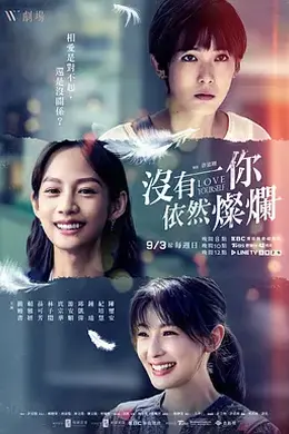 没有你依然灿烂封面图