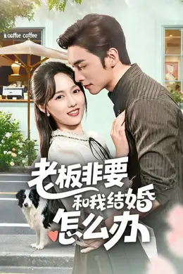 老板非要和我结婚怎么办封面图