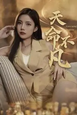 天命不凡海报图片