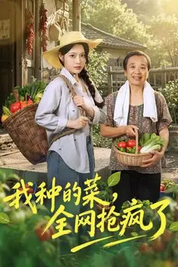 我种的菜，全网抢疯了封面图