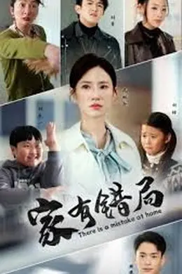 家有错局海报图片