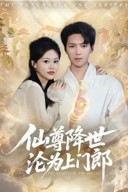 仙尊降世沦为上门郎海报图片