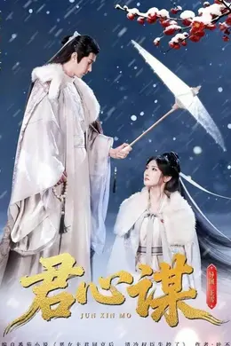 君心谋海报图片