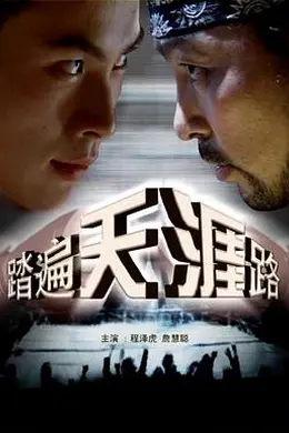 踏遍天涯路封面图